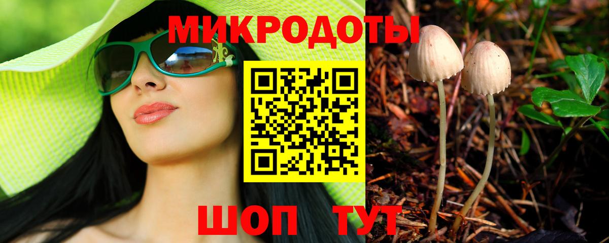 Галлюциногенные грибы Psilocybine cubensis Переславль-Залесский