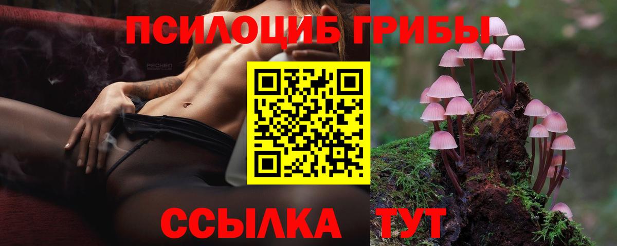 Галлюциногенные грибы GOLDEN TEACHER  Вход с VPN  купить наркотики сайты  Переславль-Залесский 